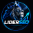 -LIDER-